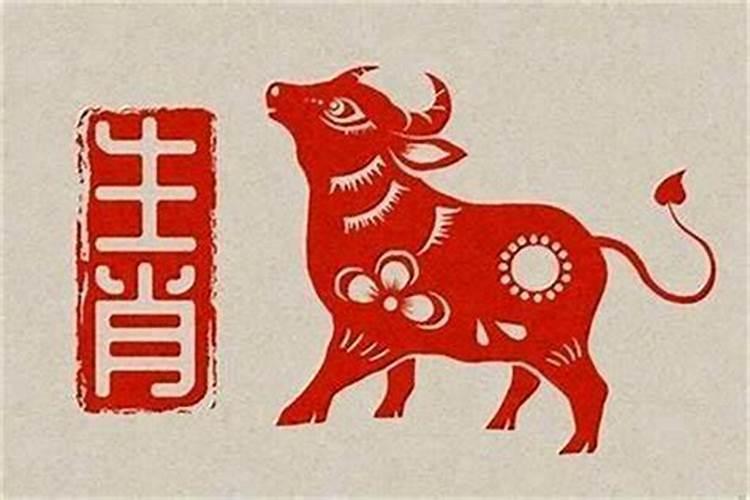 为何属牛的不怕本命年