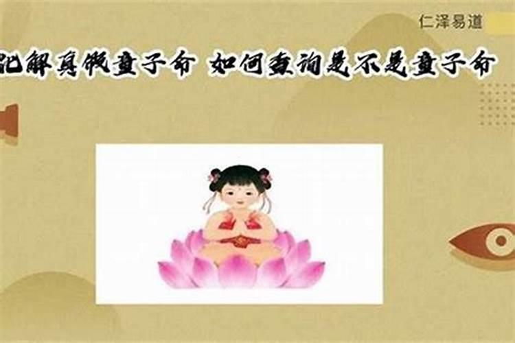 属猪的和什么属相配 相克