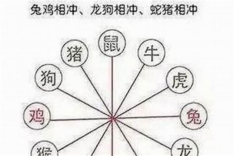 84年的鼠2025年的运势及运程