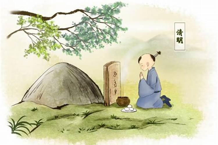 属兔的和属马的相配吗