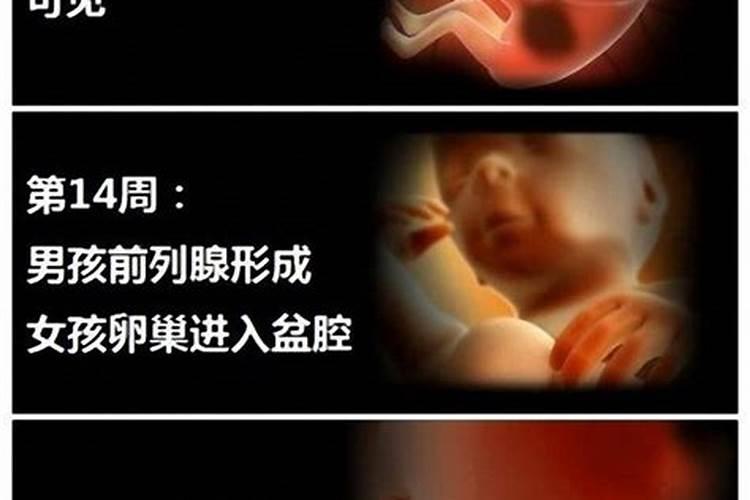 急。急。急。怀孕4个月,小孩不想要,医药不给做引产怎么办