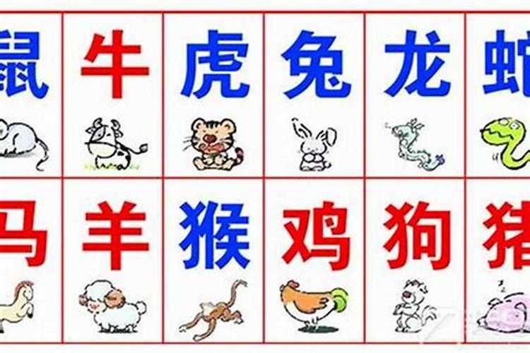 生辰八字算命准吗能信吗