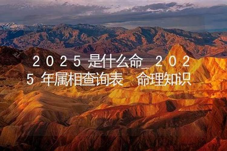 2025本命年蛇戴什么属相好
