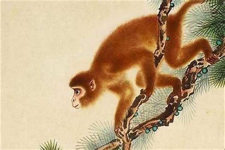 属猴人2025全年运势 属猴人2025年每月运势