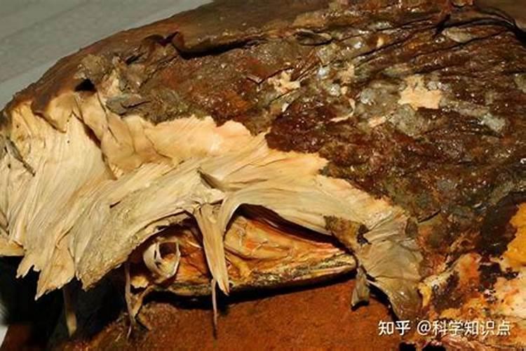 太岁符可以一直带吗？