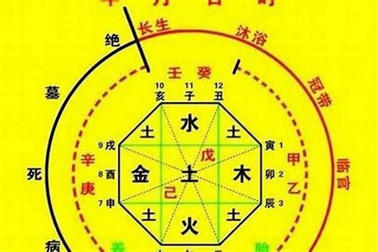 属猪女和什么属相是最配的 属猪女和什么属相配婚最好
