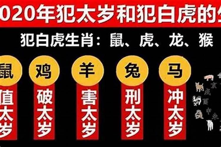 2024属鼠的人刑太岁怎样化解