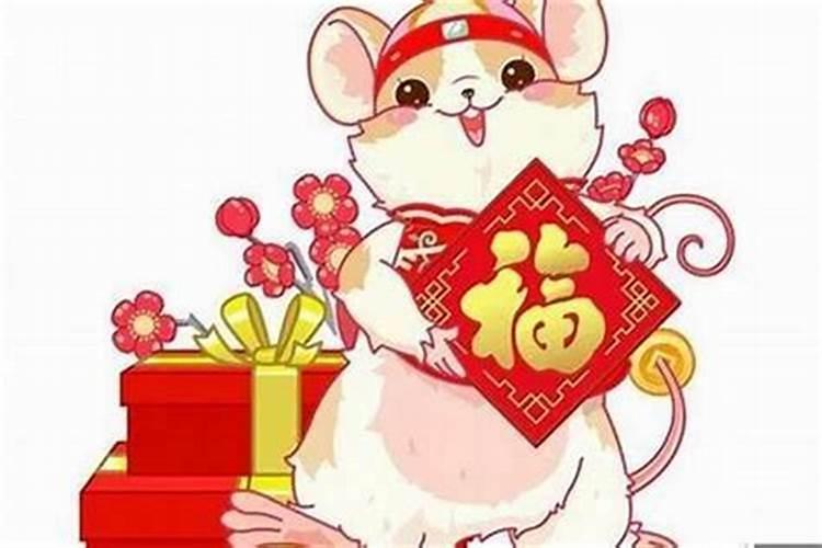 四库四财什么意思