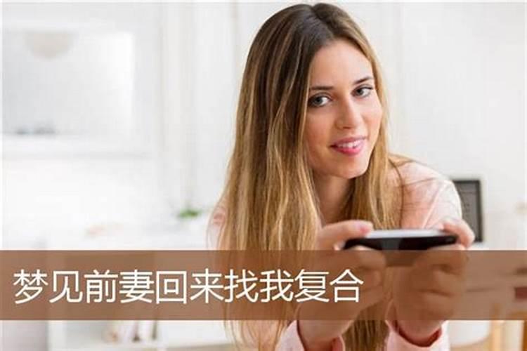 属鸡和属兔的适合做夫妻吗