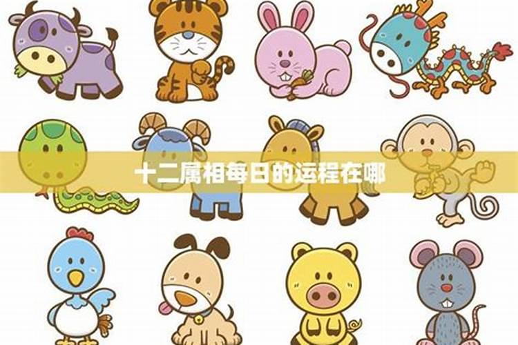 60年属鼠人未来三年2024到2026运势好吗