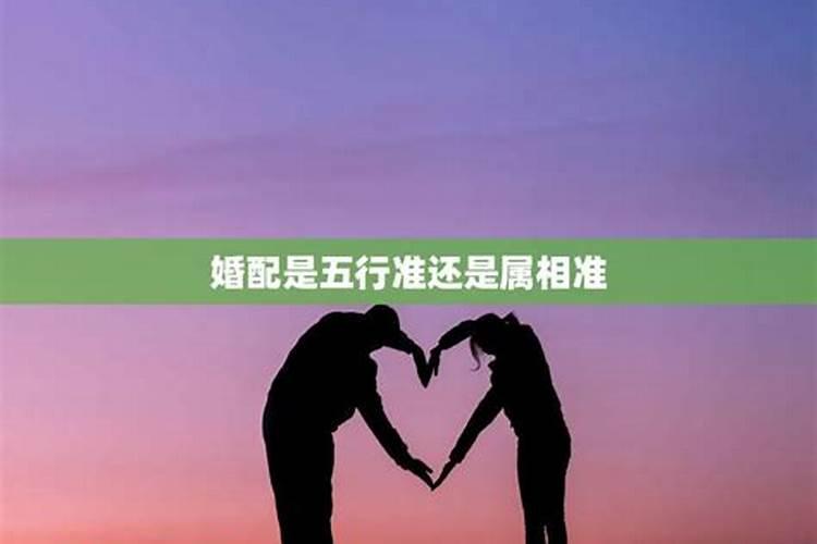 清明祭扫时需要注意哪些事项