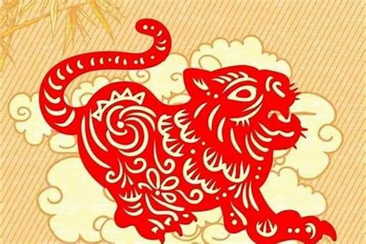 属虎的今年多少岁2024 属虎的2024年的运势怎么样