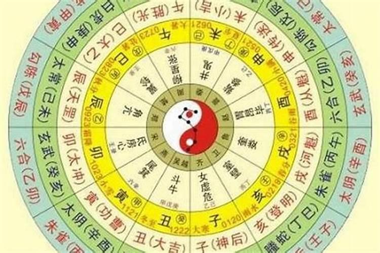 梦见爸爸在路上走着