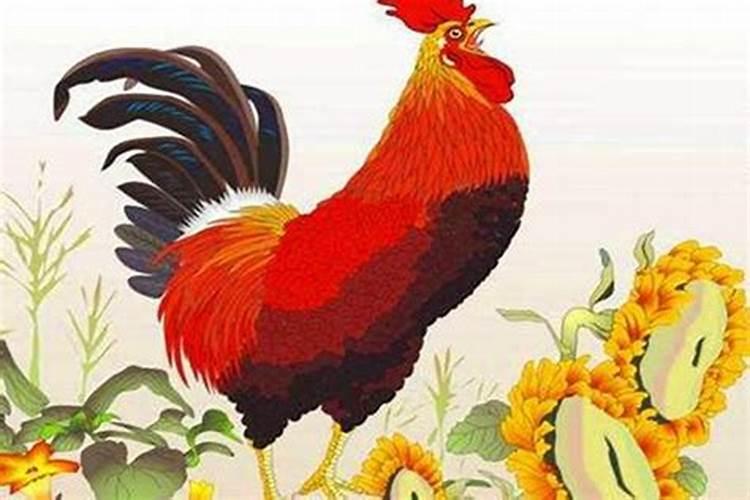 壮族的重阳节有什么特别的习俗吗？