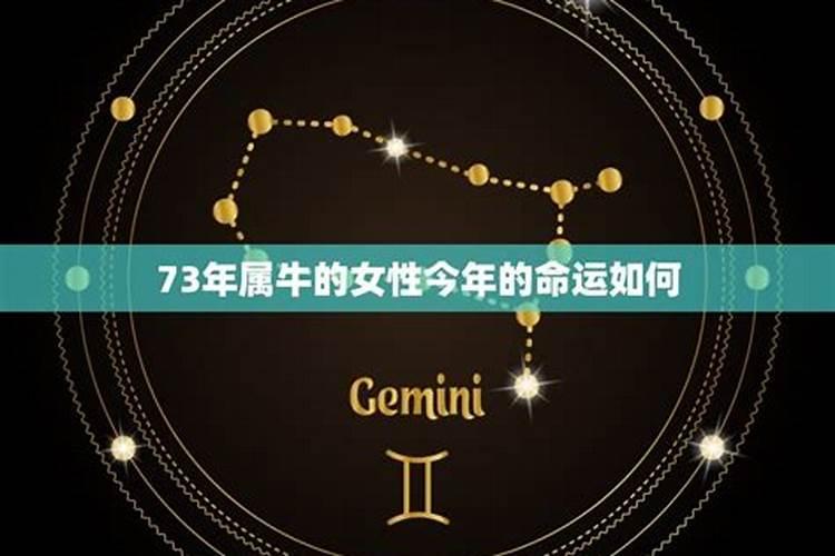 73年牛在2025年的全年运势