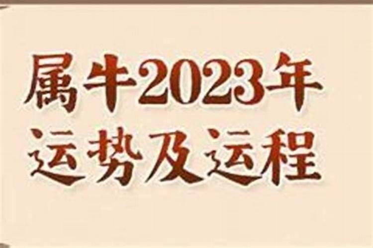 73年属牛人2025年运势