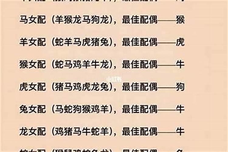 属什么配什么生肖最旺夫