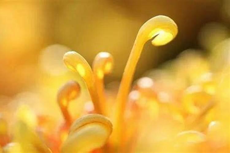 寒衣节的风俗