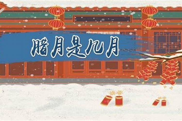 腊月有哪些花