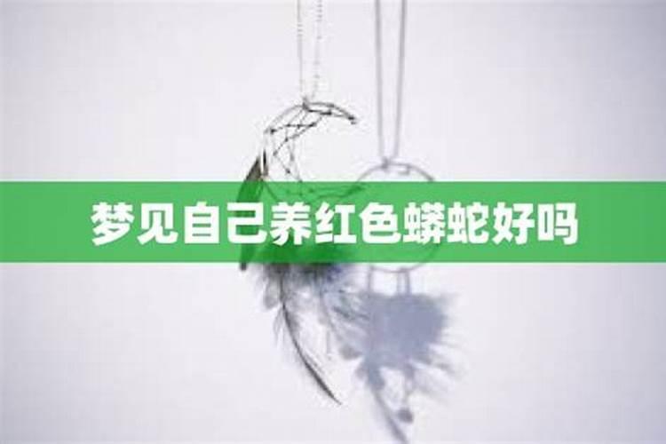 梦见红色的血的预兆