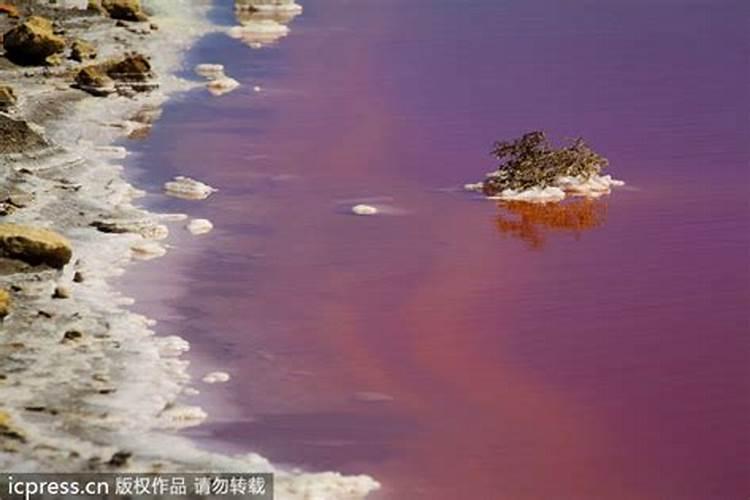 梦见鲜红的血的预兆