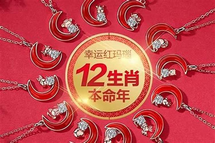 当儿子24岁本命年时,送什么礼物好呢