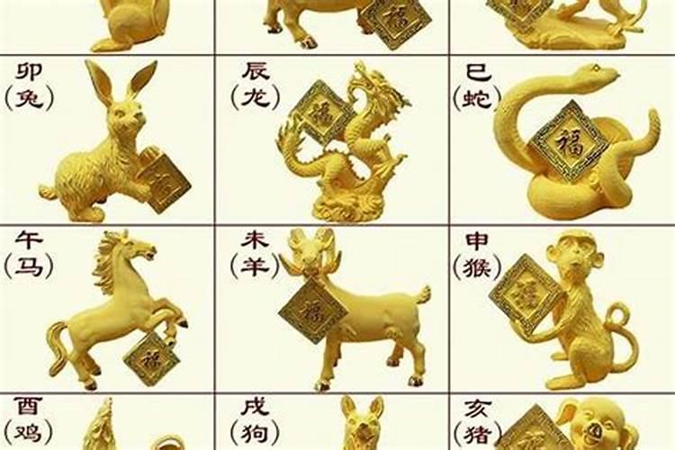 1996年属鼠2025年运势及运程