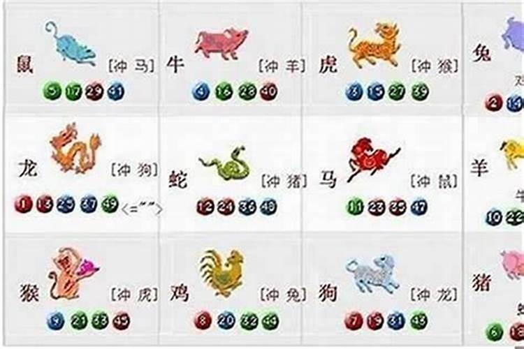 属狗的和什么属相最配