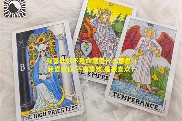 2025猪年运势1995年的人运势