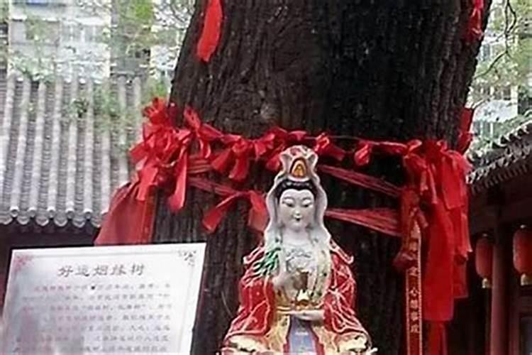 唐僧去观音菩萨庙求姻缘,向菩萨求姻缘真的会实现吗