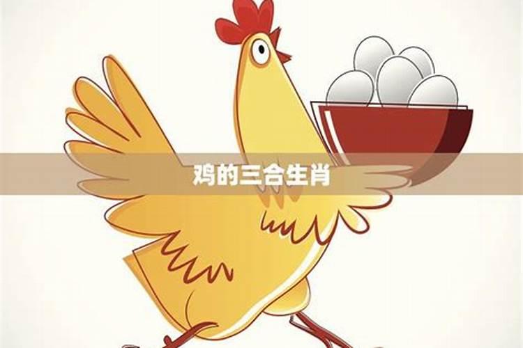 生肖鸡男的上等婚配 三合或六合结婚大吉