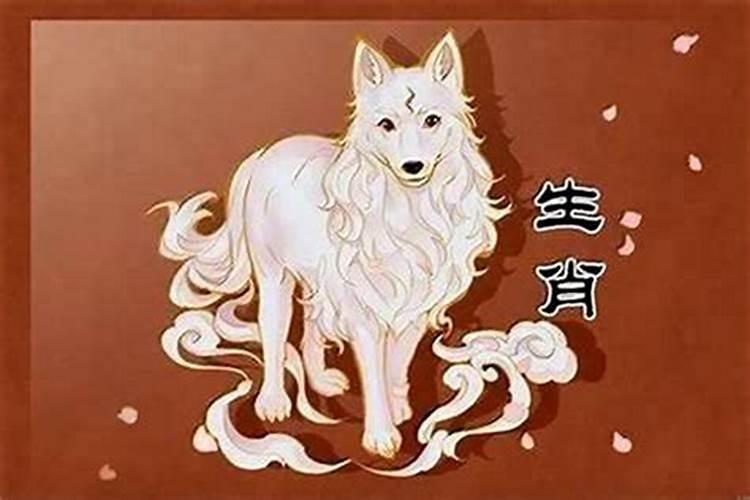 24年属狗的总体运程每月运势讲解