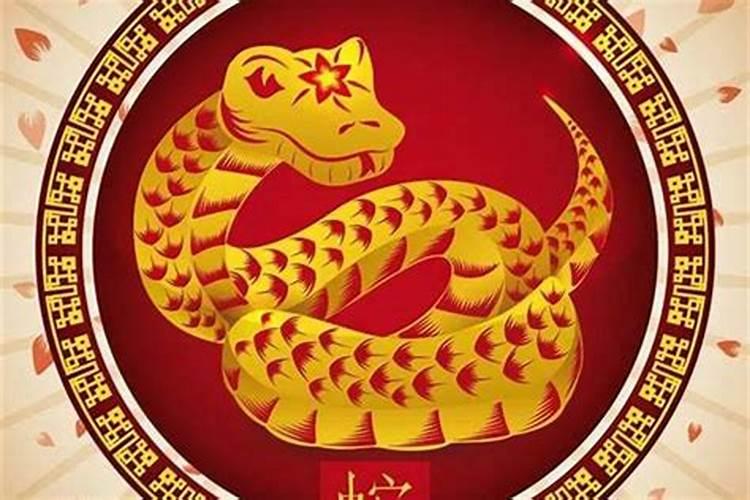 1977年属蛇女2025的全年运势如何