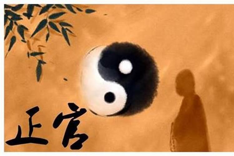 梦见儿子追姐姐什么预兆