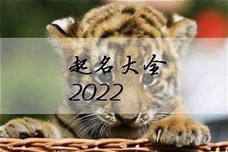 生肖狗年2025年运势