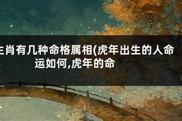 腊月的老虎命运如何 腊月出生的属虎人运势好吗