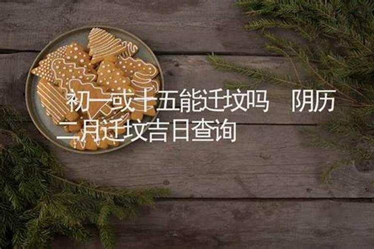 属蛇好运和倒霉的年份