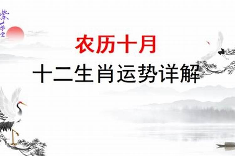 命局分析 农历十月初一出生是什么命 哪个时辰出生好？