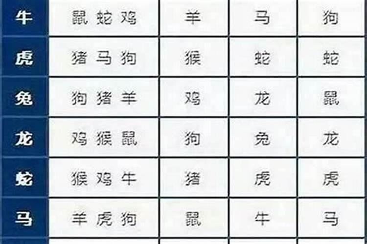 属鸡男人和属猪女人相配吗