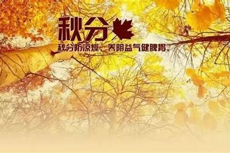 秋分祝福语大全(立秋问候的暖心句子)