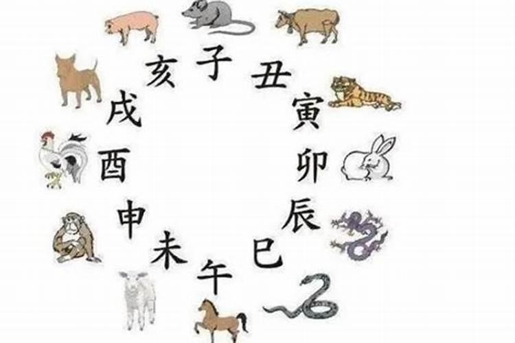 如何从八字看配偶情况