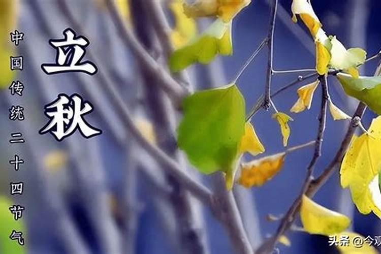 梦见马桶里的大便冲不下去的预兆