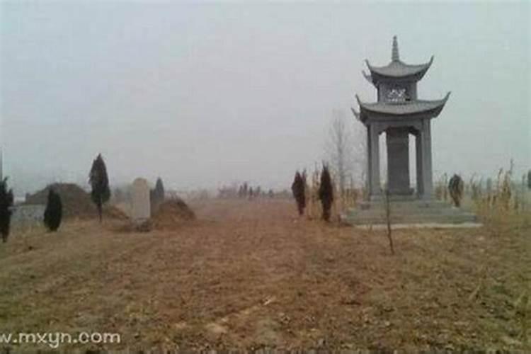 梦见墓地有蛇是什么意思