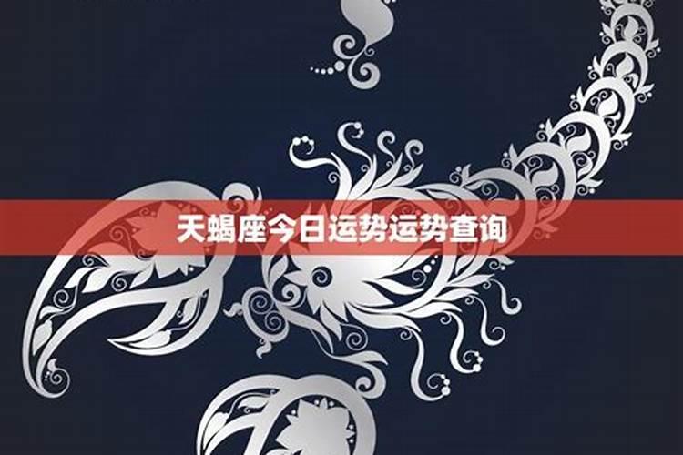 属兔的和什么属相最配、相克