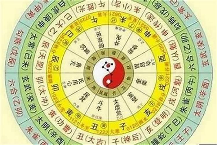 家里有两个女孩子的,是招一个上门女婿还是两个都嫁出去比较好