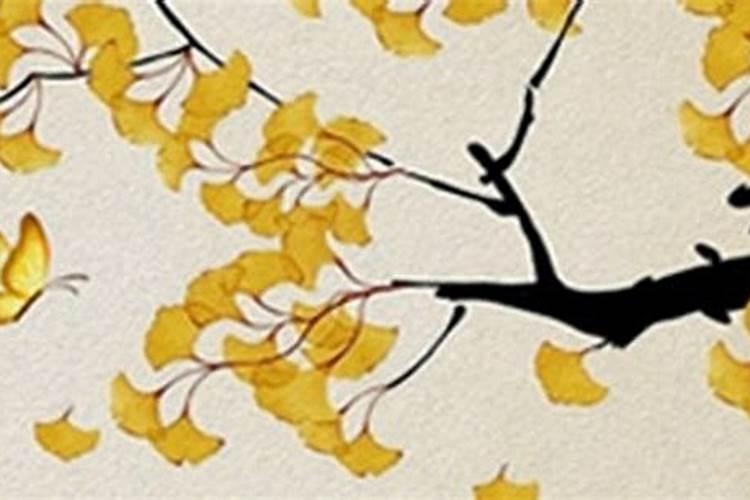 第二类童子前世是什么