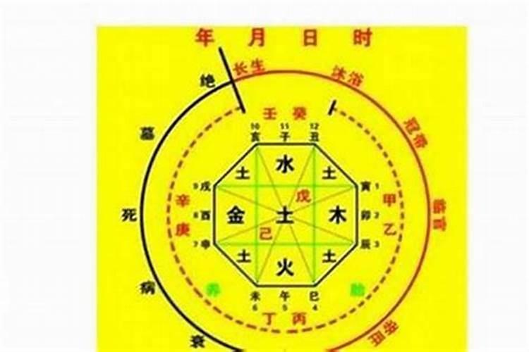 1999年属兔几月出生好