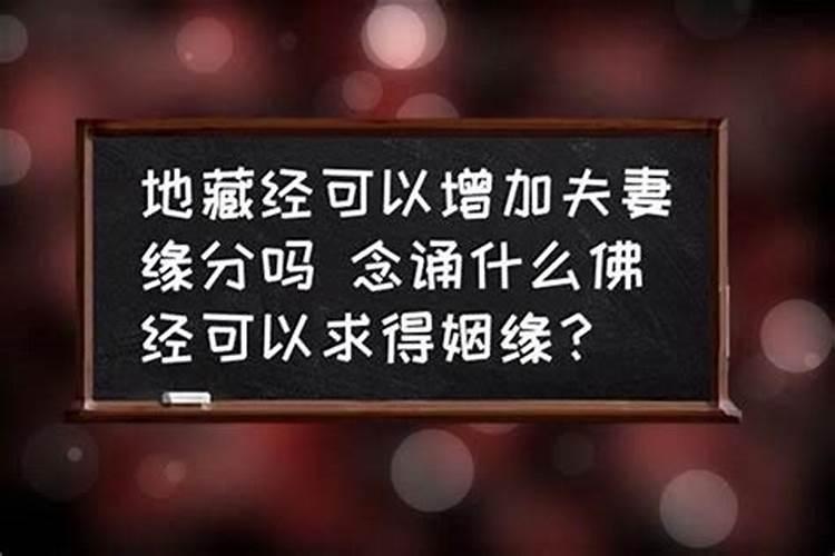 往年重阳节开什么生肖