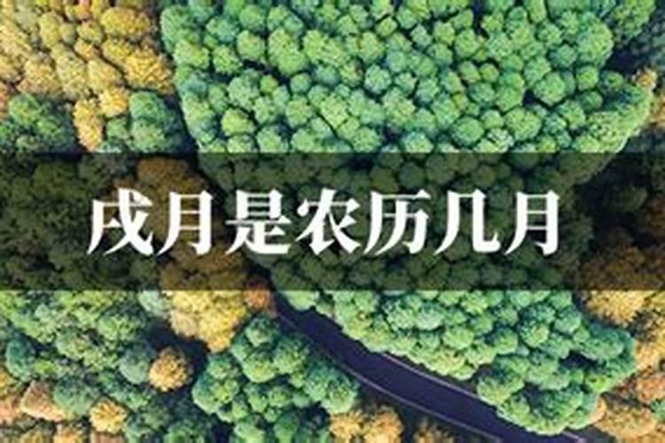 八字合不合怎么算？如何看两人的八字是否合适？
