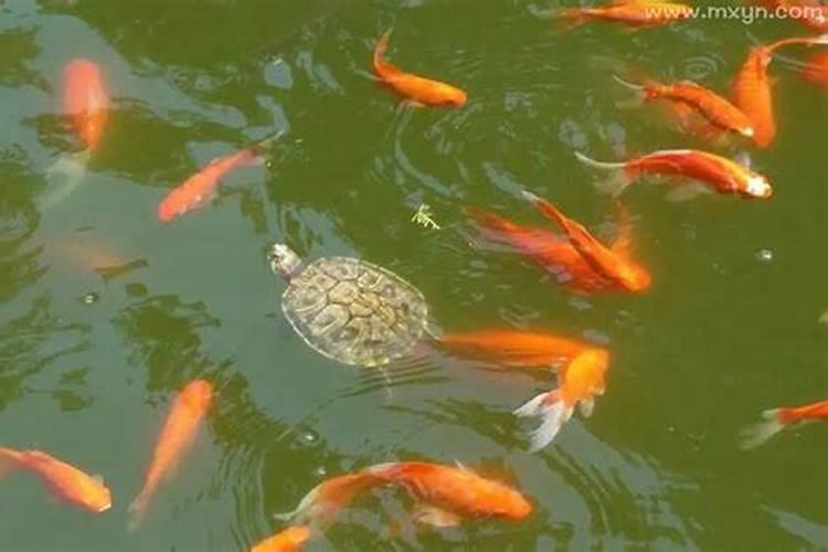 结婚用的生辰八字怎么写男方来提亲,要